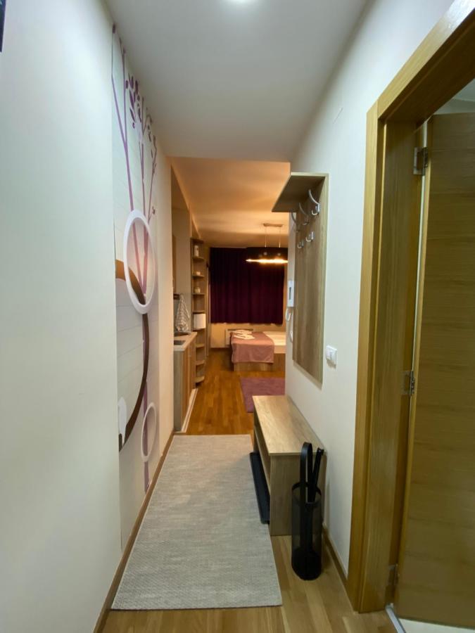 Sanstef Studio Zlatibor Ngoại thất bức ảnh